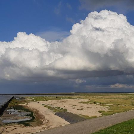 Waddenfestijn Villa Paesens Dış mekan fotoğraf